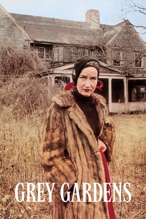 Watch Free Grey Gardens (1975)