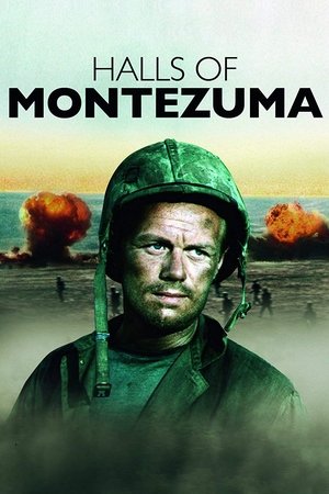 Watch Free Halls of Montezuma (1951)