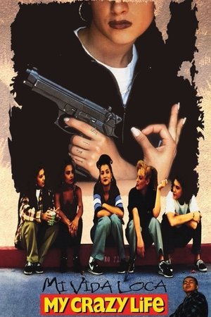Watch Free Mi vida loca (1993)
