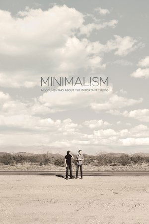 Watch Free Minimalism: A Documentary About the Important Things (2015)