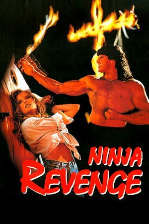 Watch Free Ninja Vengeance (1993)