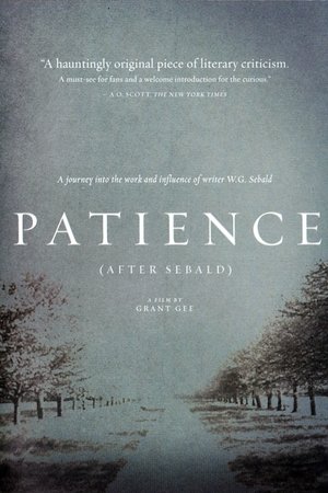 Watch Free Patience (After Sebald) (2012)