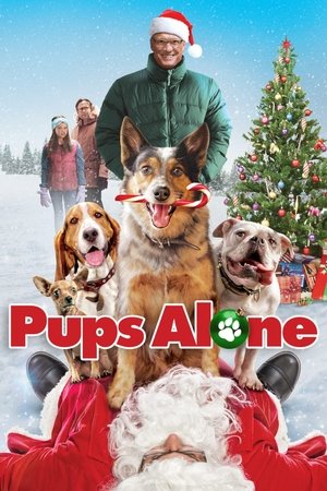 Watch Free Pups Alone (2021)