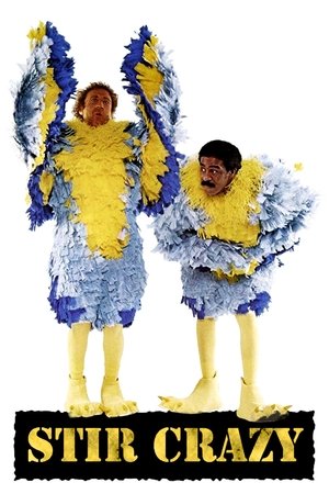 Watch Free Stir Crazy (1980)