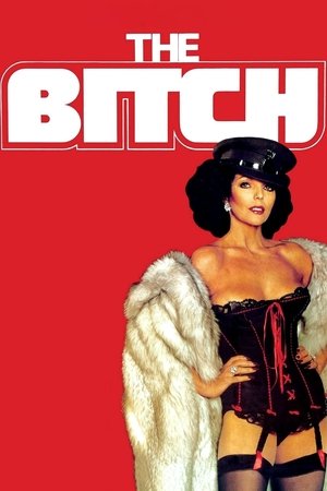Watch Free The Bitch (1979)