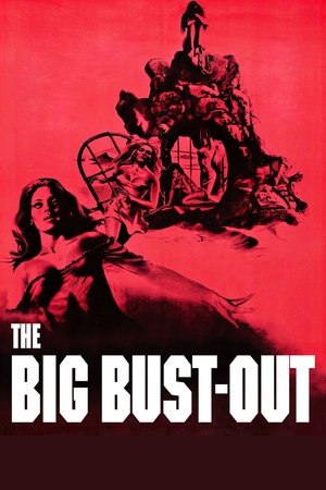 Watch Free The Big BustOut (1972)