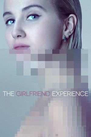 Watch Free The Girlfriend Experience