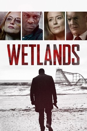 Watch Free Wetlands (2017)