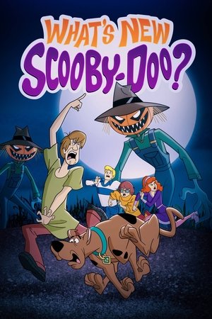 Watch Free Whats New, ScoobyDoo? (20022006)