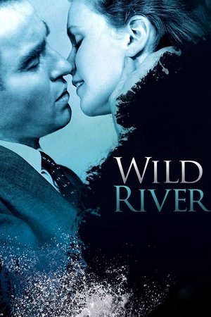 Watch Free Wild River (1960)