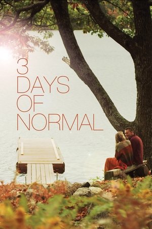 Watch Free 3 Days of Normal (2012)