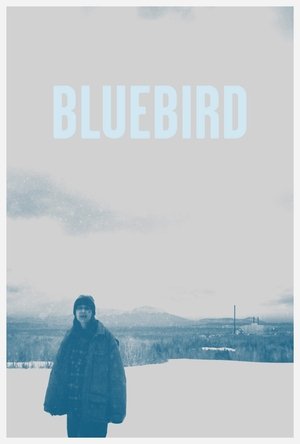 Watch Free Bluebird (2013)