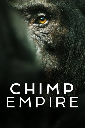 Watch Free Chimp Empire (2023)