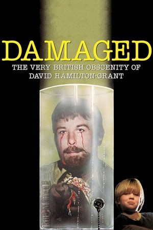 Watch Free Damaged (2023)