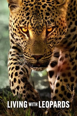 Watch Free Living with Leopards (2024)