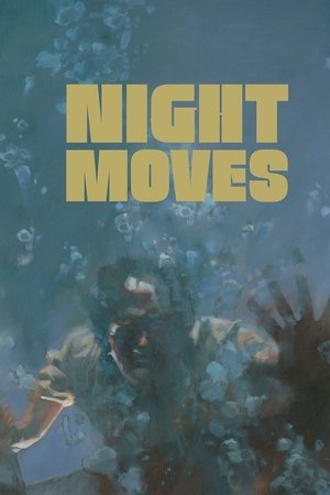 Watch Free Night Moves (1975)