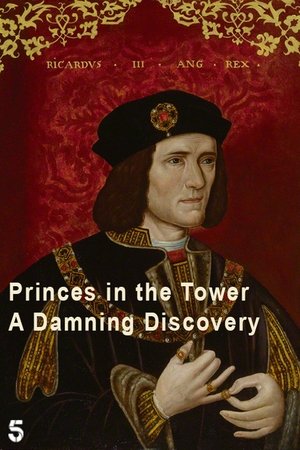 Watch Free Princes in the Tower A Damning Discovery (2024)