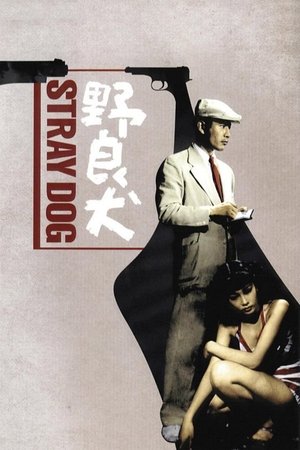 Watch Free Stray Dog (1949)