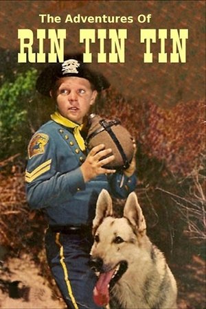 Watch Free The Adventures of Rin Tin Tin (19541959)