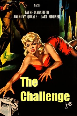 Watch Free It Takes a Thief (1960)