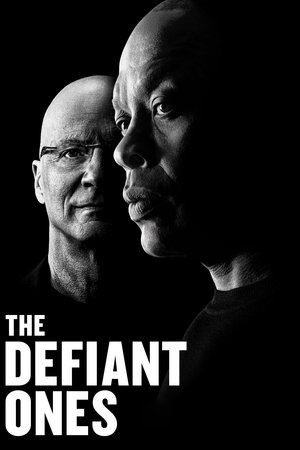 Watch Free The Defiant Ones (2017)