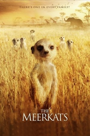 Watch Free Meerkats: The Movie (2008)