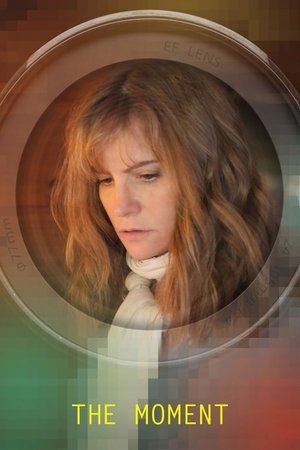 Watch Free The Moment (2013)