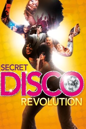 Watch Free The Secret Disco Revolution (2012)