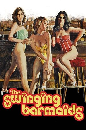 Watch Free The Swinging Barmaids (1975)