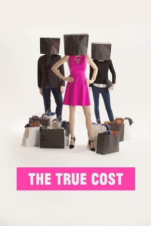 Watch Free The True Cost (2015)