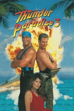 Watch Free Thunder in Paradise 3 (1995)