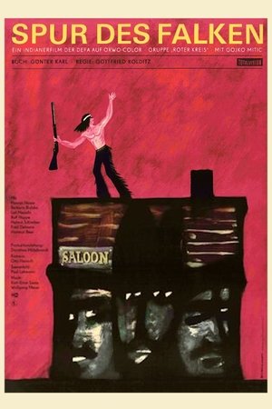Watch Free Trail of the Falcon (1968)