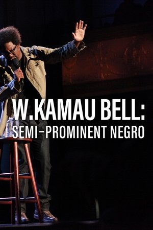 Watch Free W. Kamau Bell: SemiPromenint Negro (2016)