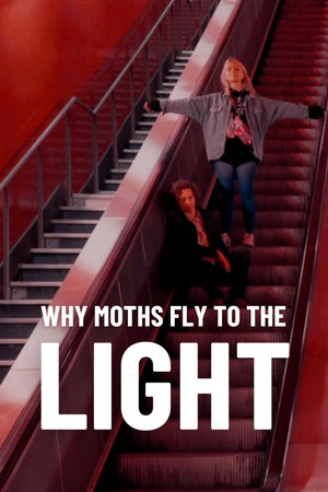 Watch Free Why Moths Fly to the Light? (2020)