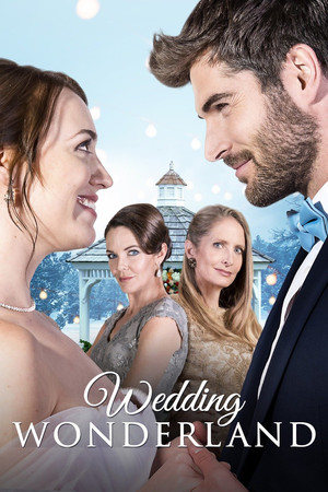 Watch Free A Wedding Wonderland (2017)