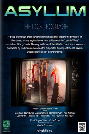 Watch Free Asylum, the Lost Footage (2013)