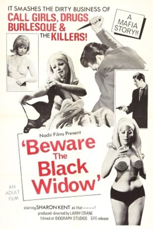 Watch Free Beware the Black Widow (1968)