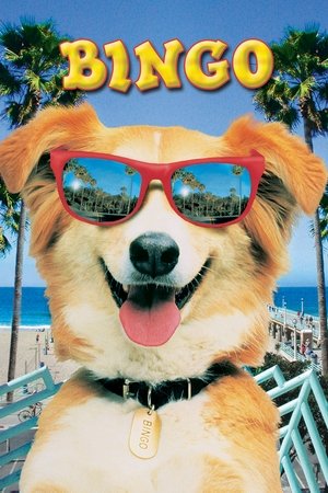 Watch Free Bingo (1991)