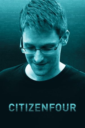 Watch Free Citizenfour (2014)