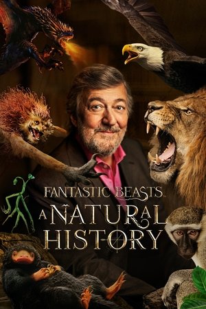 Watch Full Movie: Fantastic Beasts: A Natural History (2022)