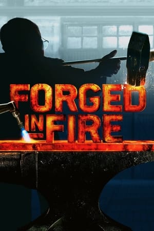 Watch Free Forged in Fire (2015 )