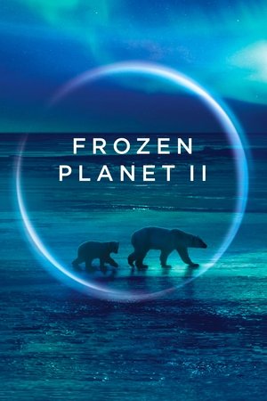 Watch Free Frozen Planet II (2022-)