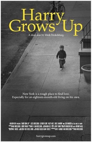 Watch Free Harry Grows Up (2012)