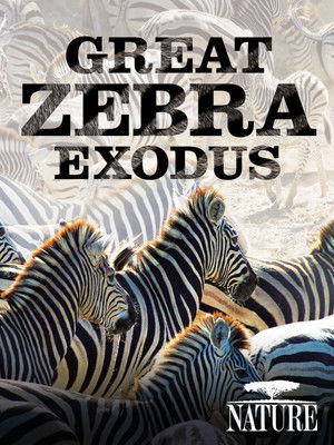Watch Free Great Zebra Exodus (2013)