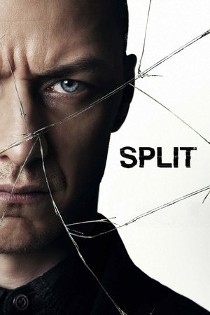 Watch Free Split (2016)