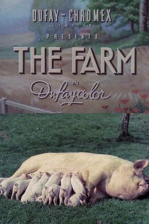 Watch Free The Farm (1938)