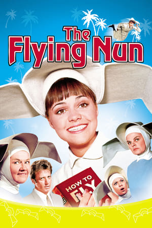 Watch Free The Flying Nun (19671970)