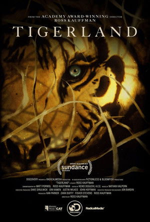 Watch Free Tigerland (2019)