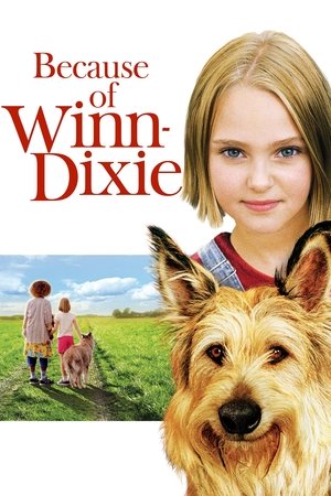 Watch Free Because of WinnDixie (2005)