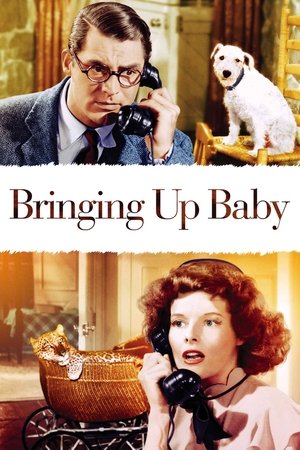 Watch Free Bringing Up Baby (1938)